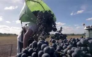 Resetips i sommar – egen flygtur över Bordeaux!