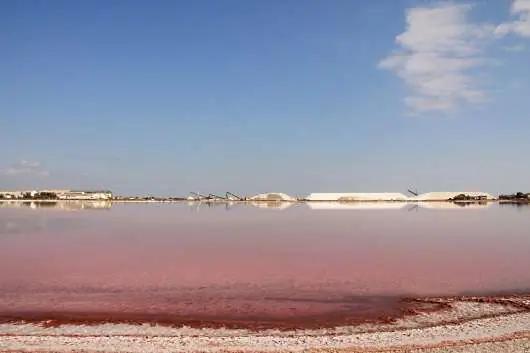 Provence: de rosa saltsalinerna