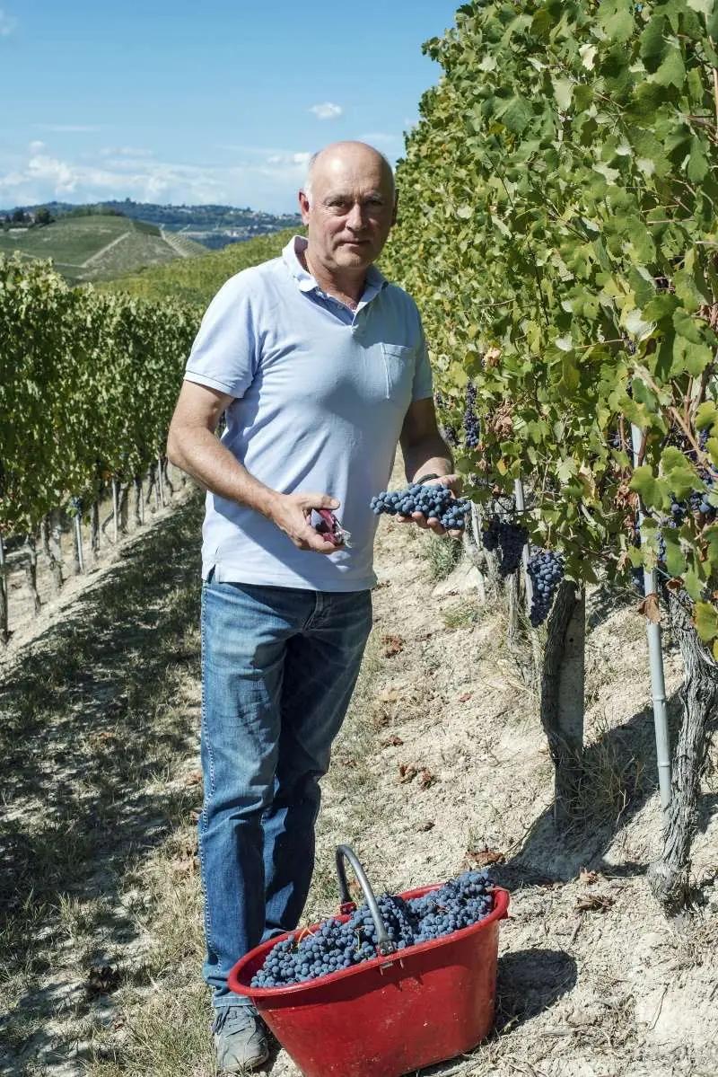dolcetto - ägaren grimaldi