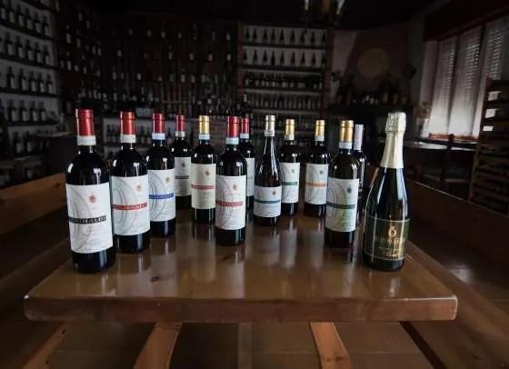 dolcetto - ett urval viner i flaskor