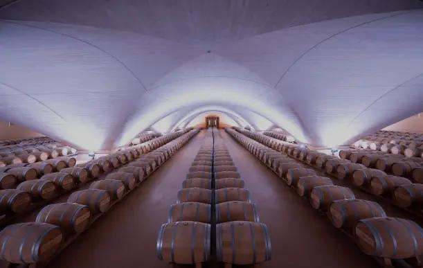 Bodega Otazu - The Wine Cathedral 