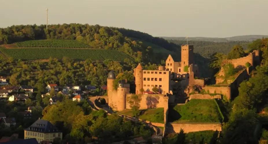 Weingut Alte Grafschaft - vingården som grundades 1594
