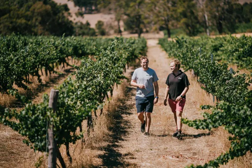 Västra Australien – vinodling, fantastiska miljöer, paradiset på jorden!