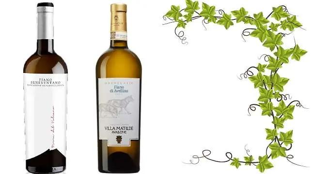 fiano - 2 viner