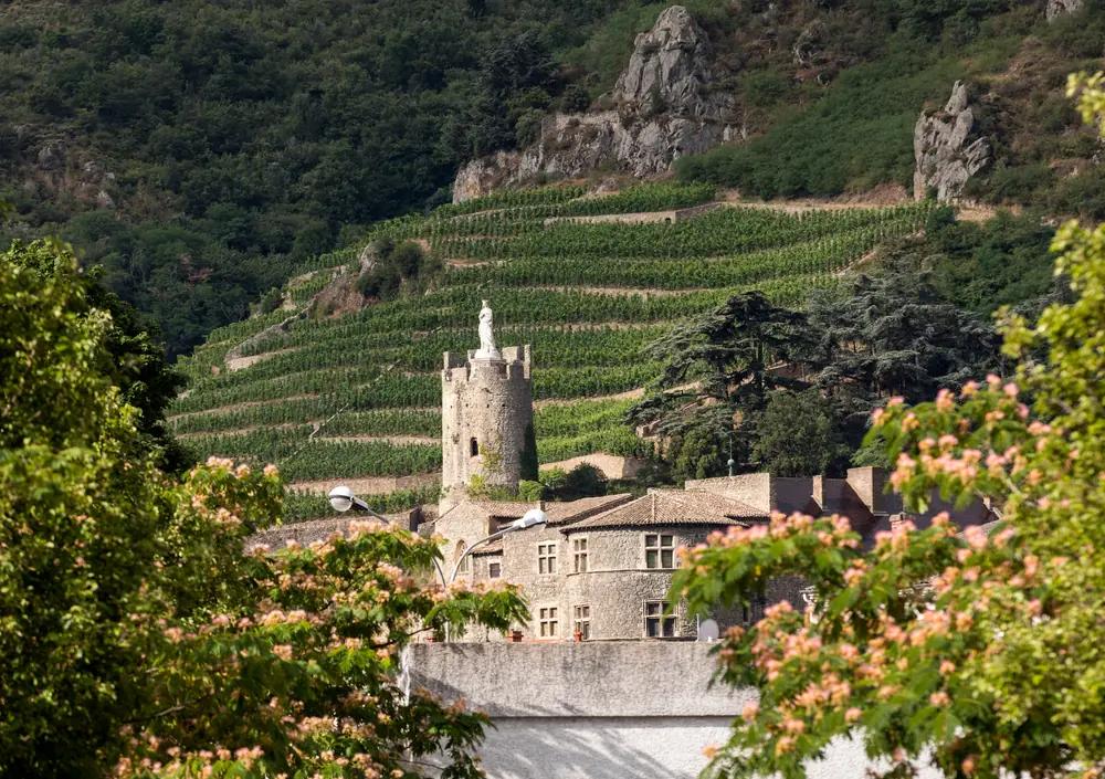 Côtes du Rhône – Ett väldigt uppskattat vinområde