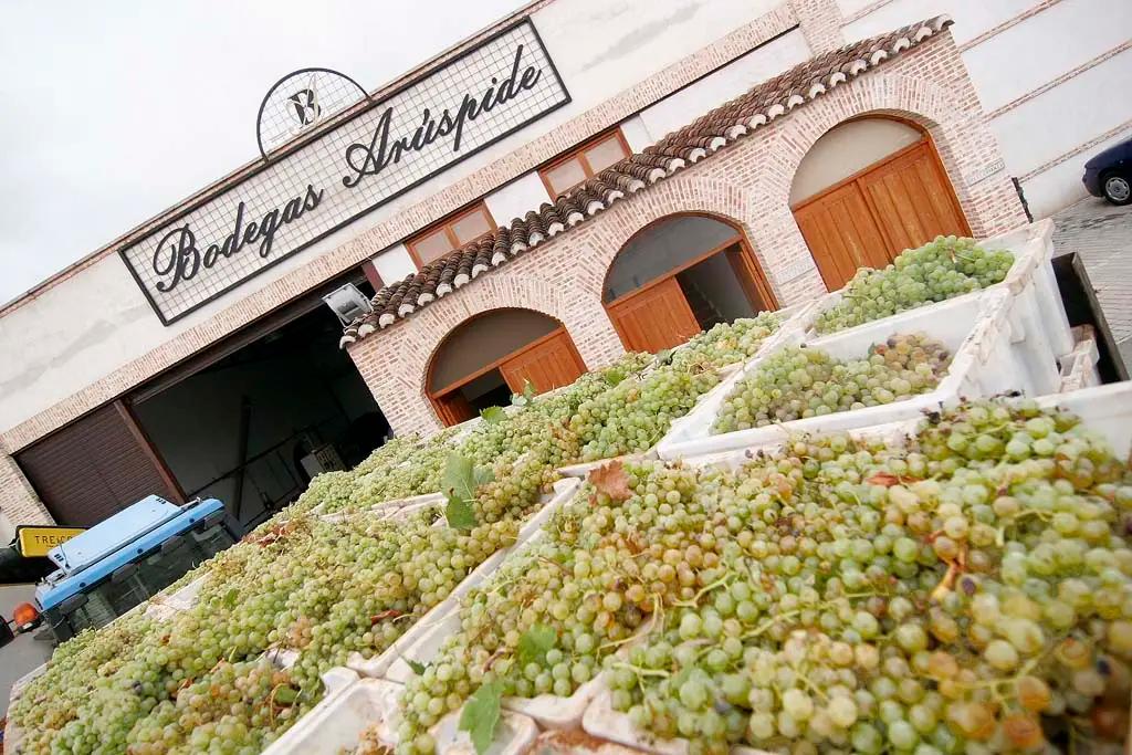 Castilla-La Mancha – Din insider guide till en av de bästa vinregionerna i Spanien
