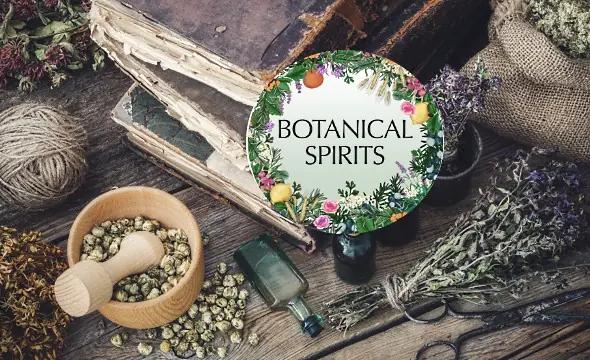 botaniska smaker - kryddor