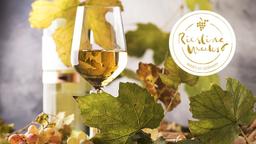 Rieslingweeks – den 13 mars firar vi Riesling igen!