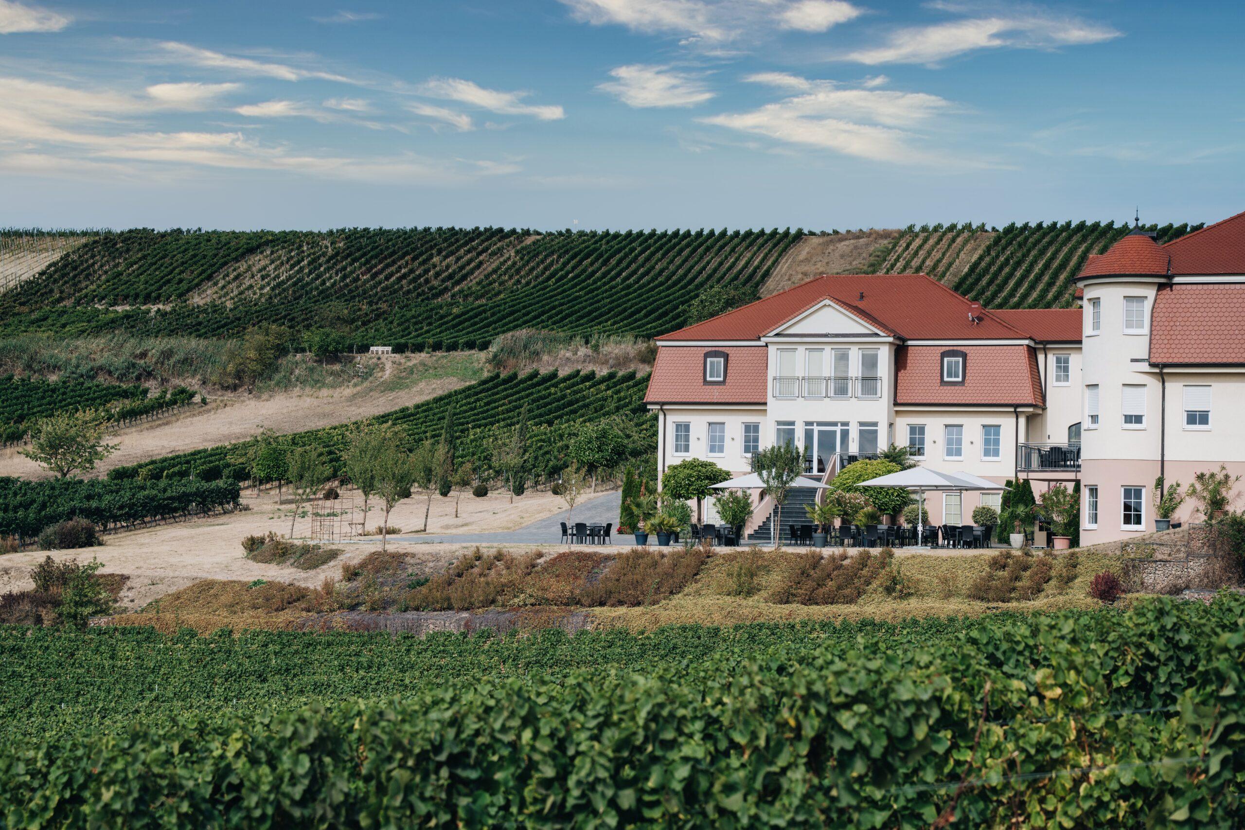 Upptäck Neverland Vineyards – En ekologisk drömvärld i hjärtat av Tyskland