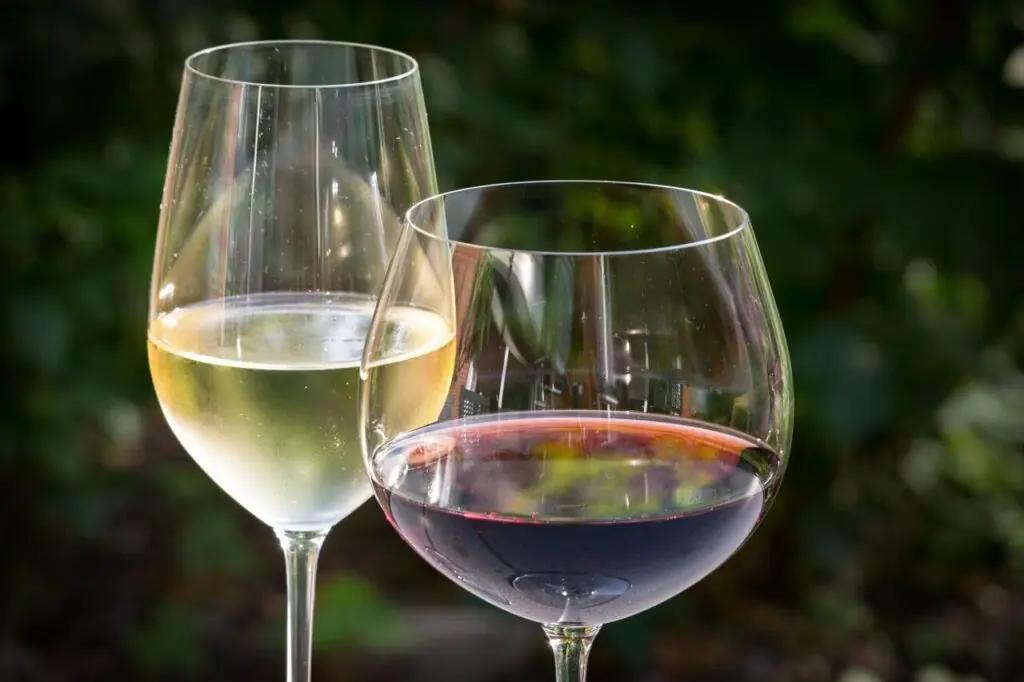 Är rött eller vitt vin hälsosammare?