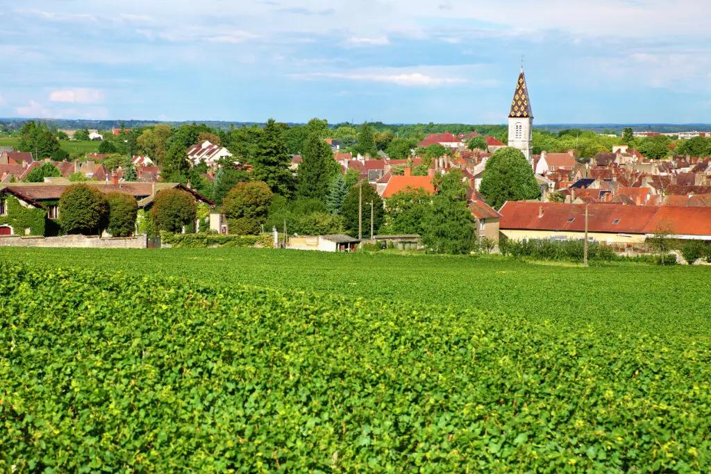 Södra Rhône