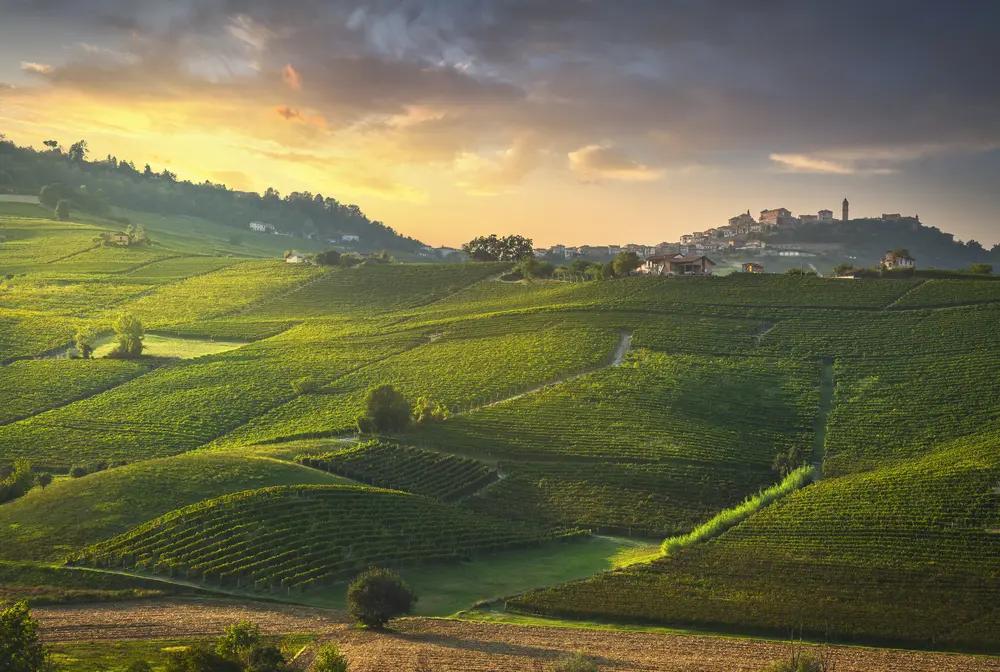 Barolo och Chianti – de ultimata sommardestinationerna 2021!