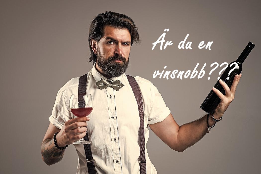 vinsnobb-en-sur-kille-som-provar-vin